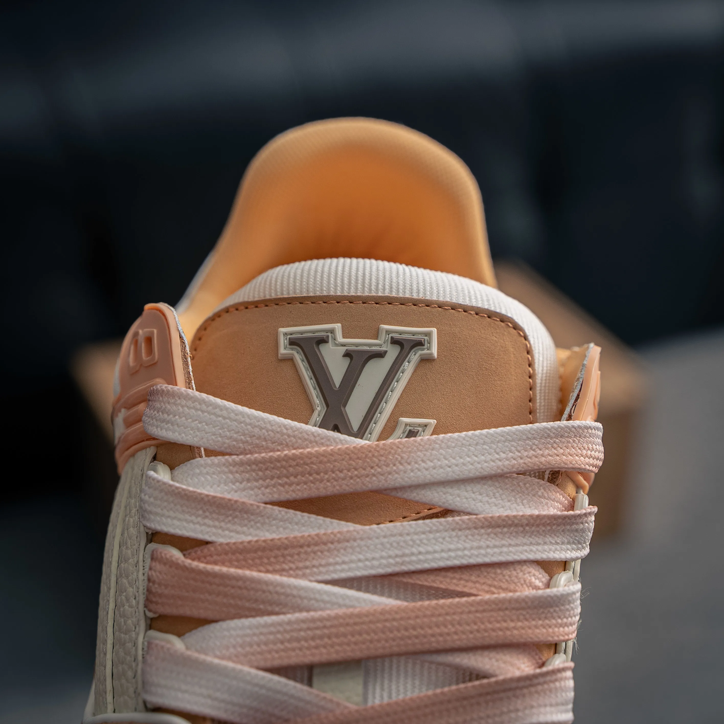 Louis Vuitton Trainer lv Sneakers Shoes Shoes